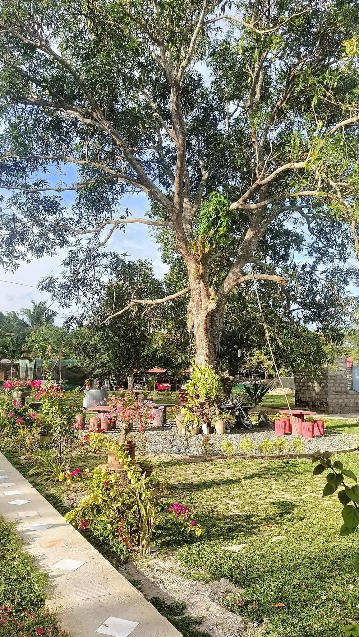 Shaded garden picnic area