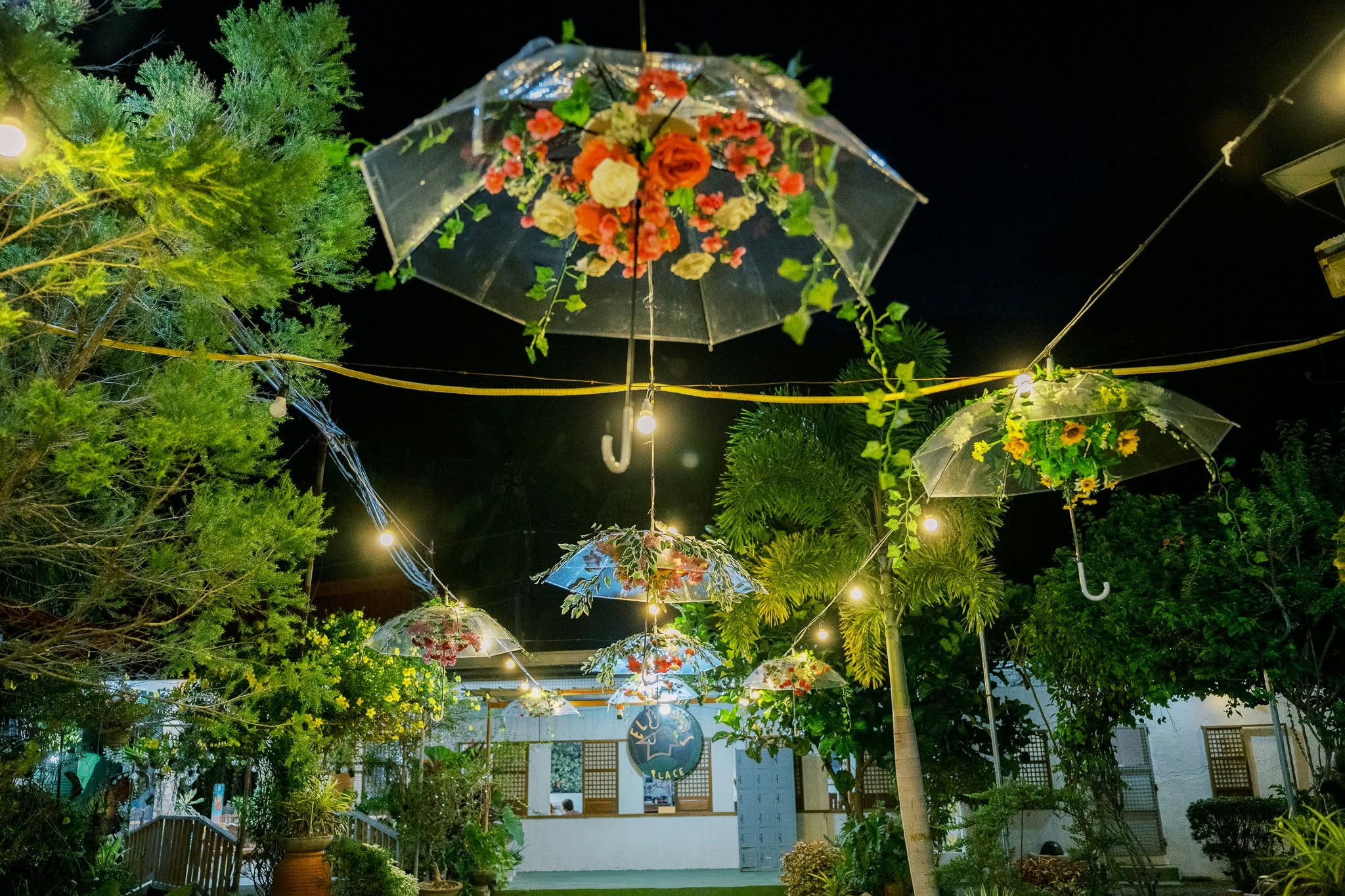 Floral umbrella lights along the path