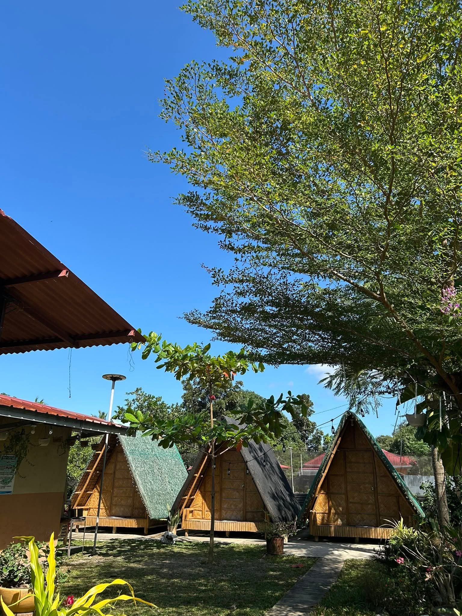 Native nipa huts