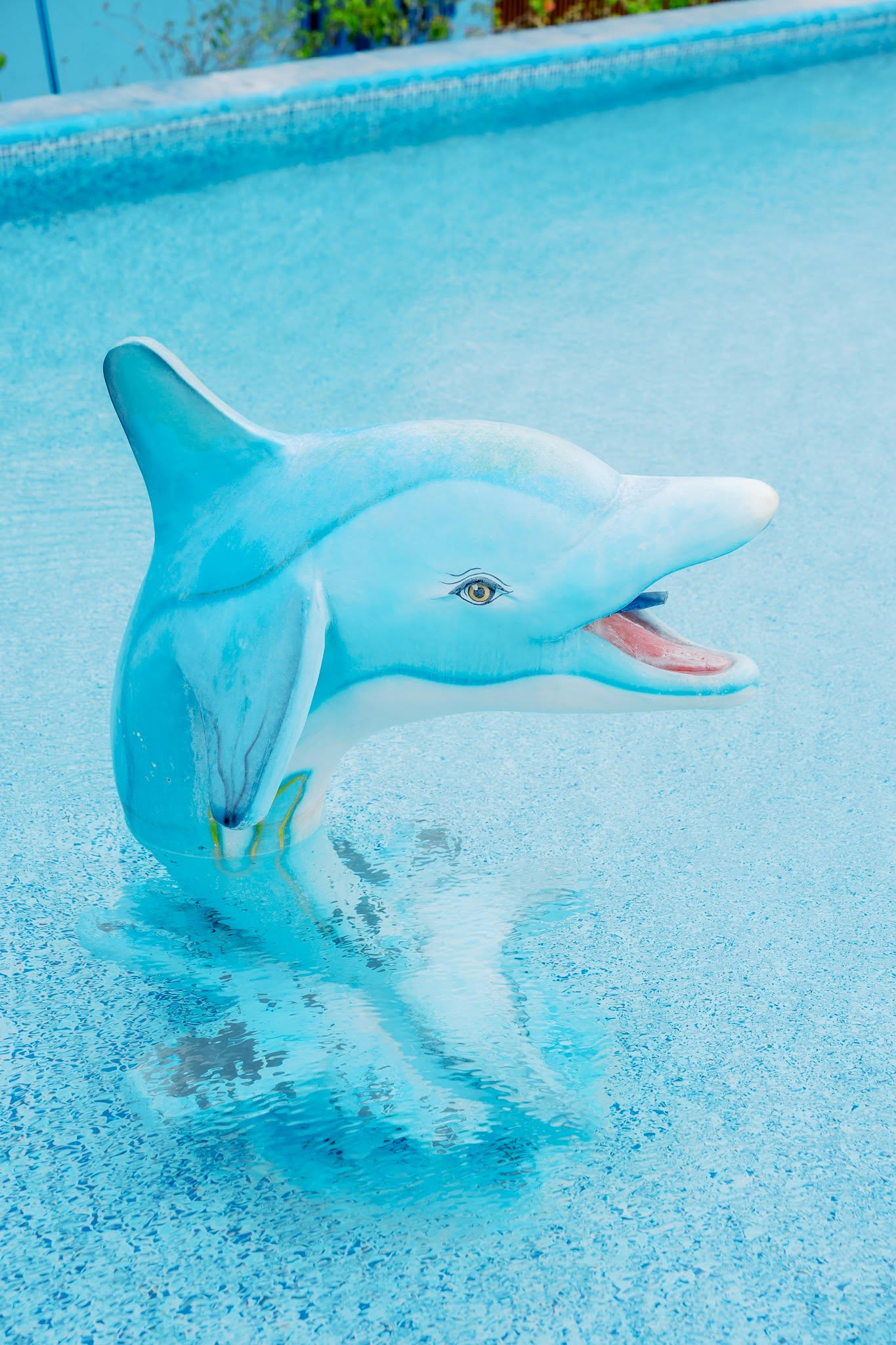 Dolphin statue close-up